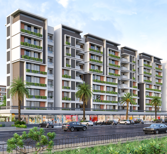 Project Main Image